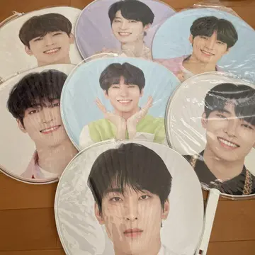 seventeen 세부치 원우 부채