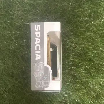SPACIA 풀백카