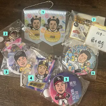 와카타카 가챠 후지이 투수