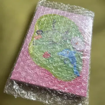 [ 미사용 새상품 ] 아이묭 돌핀 아파트 DVD 초회 한정판