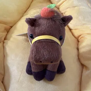 아이돌 호스 셀렉션 S 사이즈 미깡 노마마