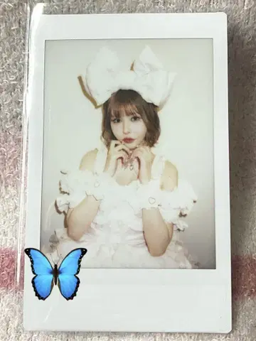 센리츠 카나노 폴라로이드 12