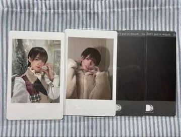 토라 하피카 나나 크로니클