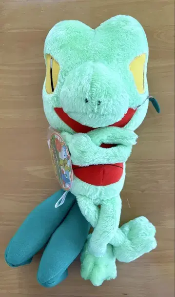 포켓몬 잎을 더한 키모리 DX