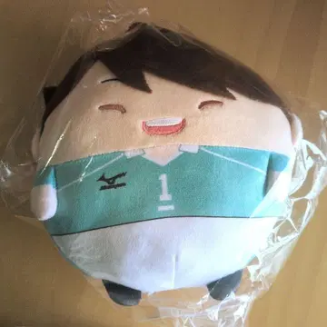 하이큐 오이카와 토오루 후와코로링 M 사이즈 유니폼