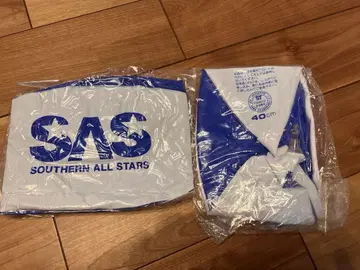 서던 올스타즈 SAS 비치볼 2개 세트 40cm