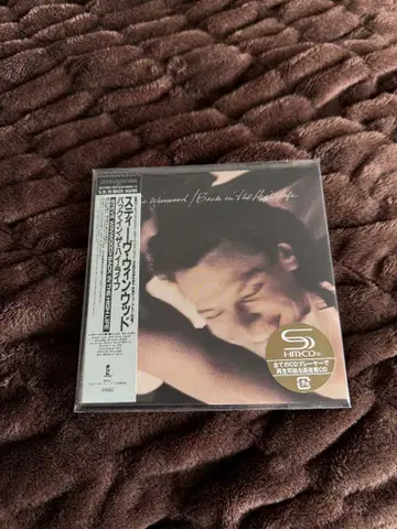 백 인 더 하이 라이프 steve winwood 종이 재킷 80s
