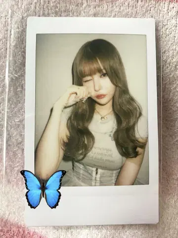 전율 카나노 폴라로이드 19