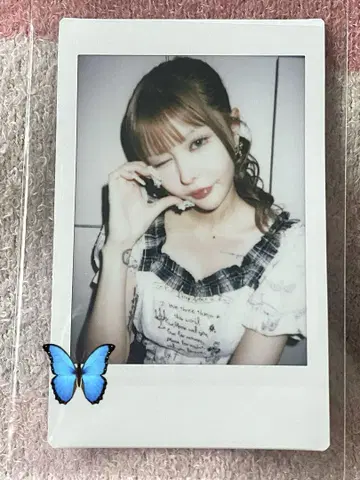 센리츠 카나노 폴라로이드 20