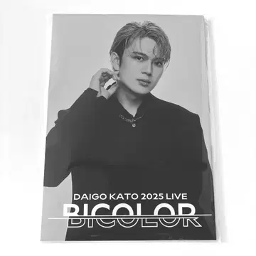 카토 다이고 2025 LIVE BICOLOR 팜플렛