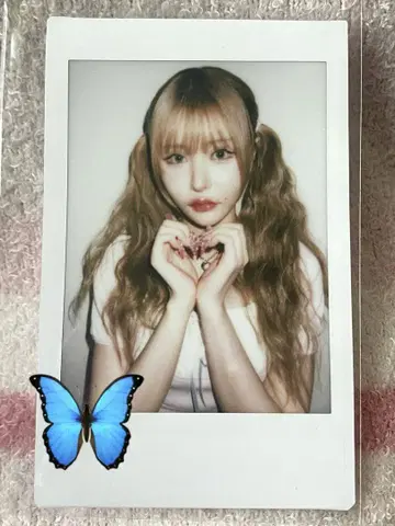 센리츠 카나노 폴라로이드 24