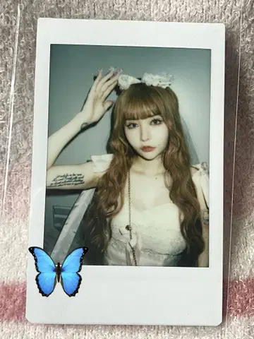 센리츠 카나노 폴라로이드 25