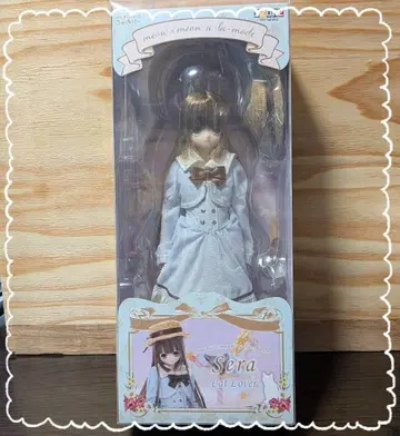 AZONE 아존 세라 sera 미개봉 새상품