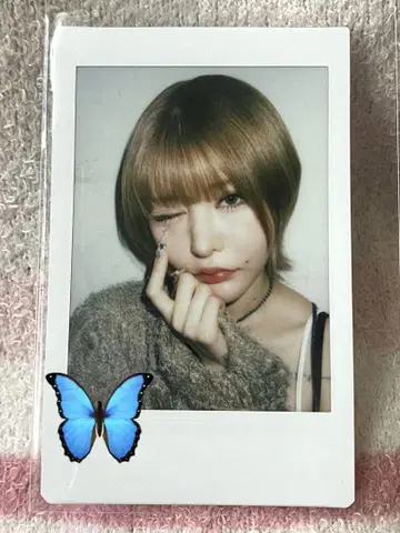 센리츠 카나노 폴라로이드 25