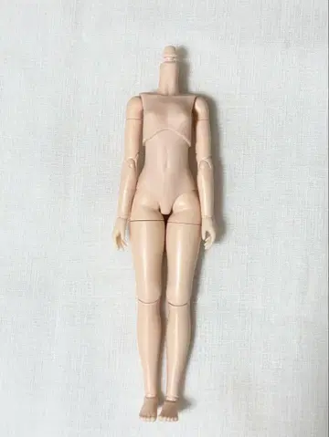 오비츠 22 M 가슴 내추럴 가동 바디 커스텀 인형 브라이스 리카짱