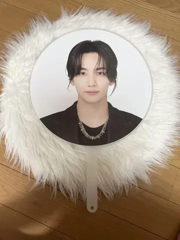 SEVENTEEN 세부치 정한 부채 follow