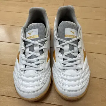 모나르시다 네오 사라 프로 실내 23cm