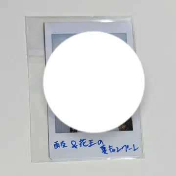 SHOW-WA 아오야마 하야토 친필 사인 폴라로이드 세이유