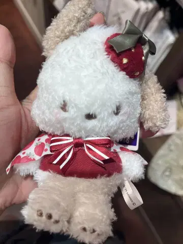 메종 드 플뢰르 딸기 신문 산리오 포차코