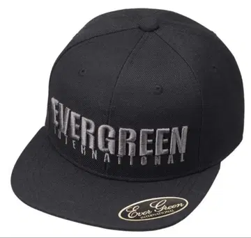evergreen 에버그린 E.G. 플랫캡 타입 1