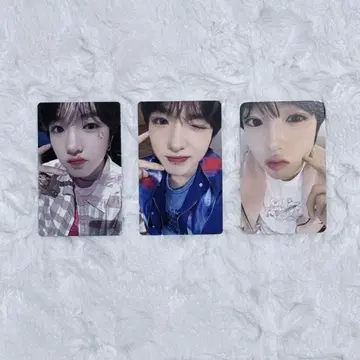 NCTWISH 사쿠야 poppop 트레이딩 카드 세트