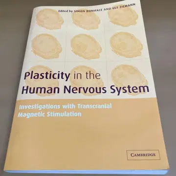 Plasticity in the Human Nervous System