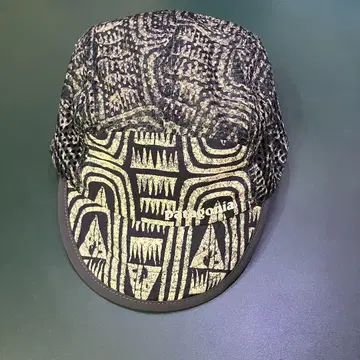 Patagonia 덕빌 캡