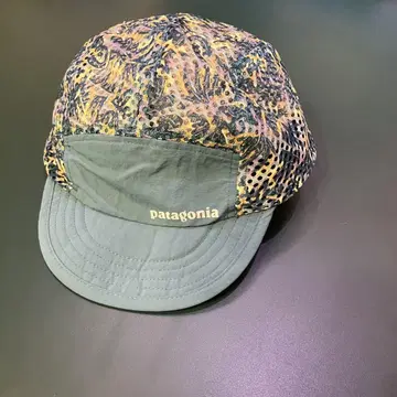 Patagonia 덕빌 캡