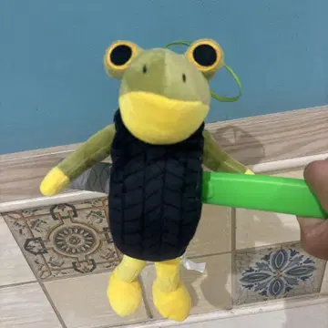 이탈리아 레인 로트