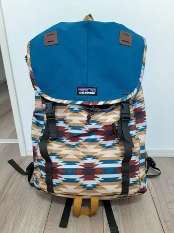 patagonia 기하학 패턴 백팩