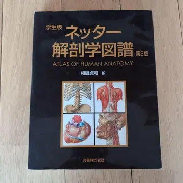네터 해부학 도보 제2판