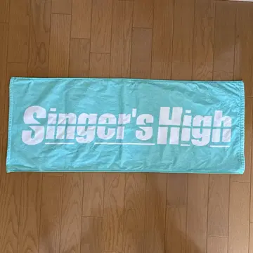 싱거 하이 타월 로고 타월 민트 그린 그린