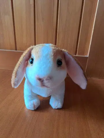 토끼 봉제 인형 브라운과 화이트 리얼 토끼