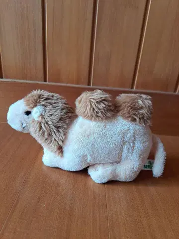 후지 사파리파크 낙타 봉제 인형