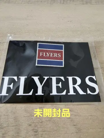 FLYERS 핀 배지