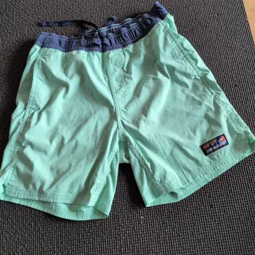 Patagonia 숏팬츠 민트 그린
