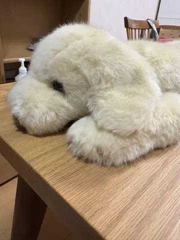 봉제 인형 강아지