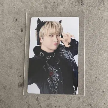 초특급 NINE LIVES 완전 생산 한정판 트레이딩 카드 유키