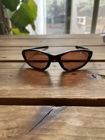 [ 레어 모델 ] Oakley TWENTY XX