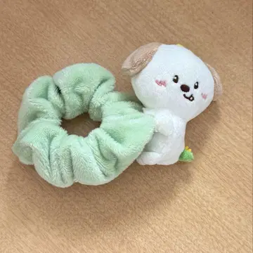 RIIZE 앤톤 몽룡이 스크런치