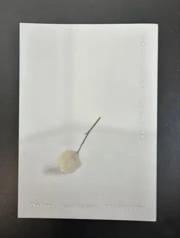 오카시마루 스기야마 요코 그 때 보이는 것