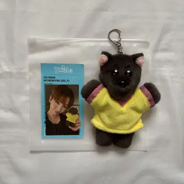 [ 새상품급 ] 새상품 미사용 보넥도 재현 푸넥도 명명