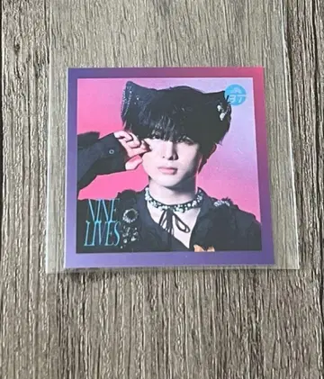 초특급 NINELIVES 타워 레코드 스티커 하루