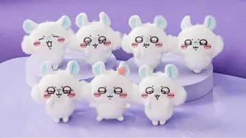 모몽가 가득 복권 E상 컴플리트 세트