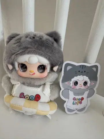 yooki 썸머 고양이