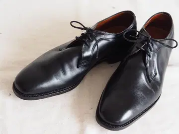Allen Edmonds 8029 Grantham plain toe