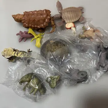 생물 대도감
