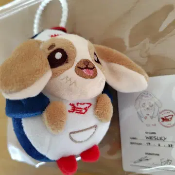 WESLEY 키체인