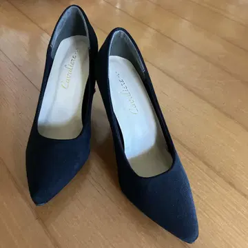 여성용 하이힐 펌프스