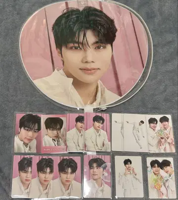 건욱 부채 트레이딩 카드 제베원 팬콘